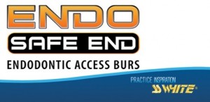 endo safe bur